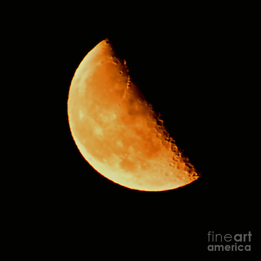 Third Quarter Moon August 19, 2022 Photograph by Sheila Lee - Fine