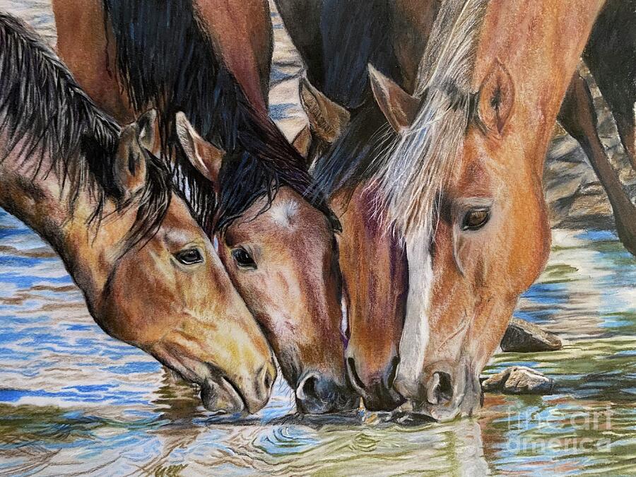 Thirsty quartet Drawing by Kathy Laughlin