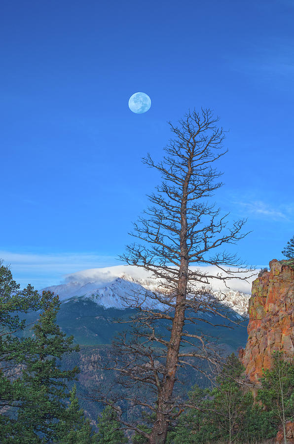 This Above All, To Thine Own Self Be True, Said Polonius In Hamlet. Pikes Peak, Colorado Photograph by Bijan Pirnia