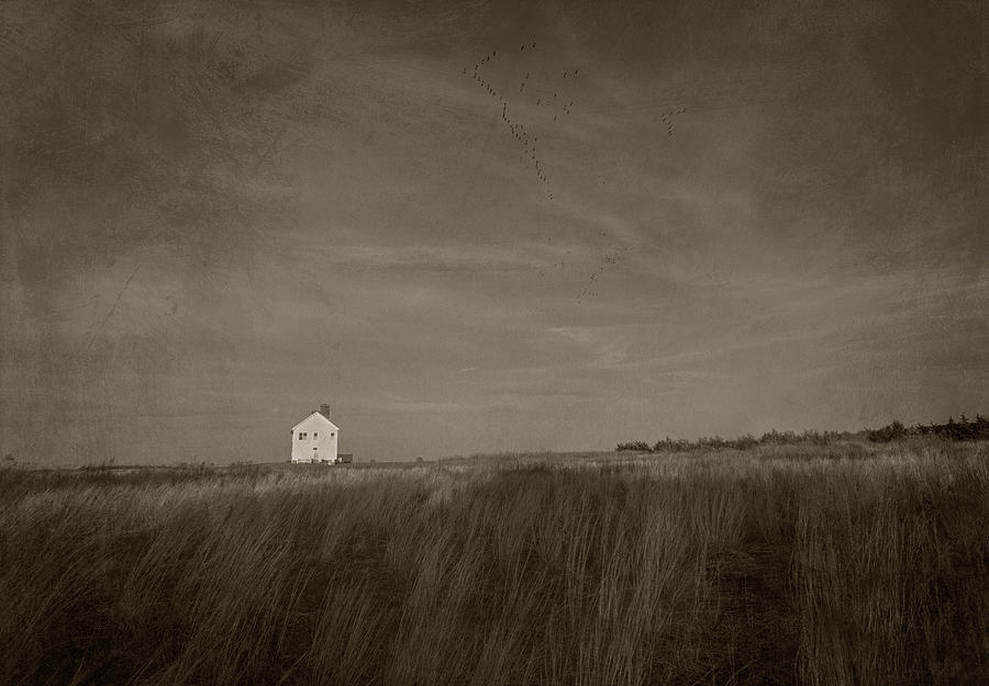This Aint Kansas Photograph by Steve Gravano