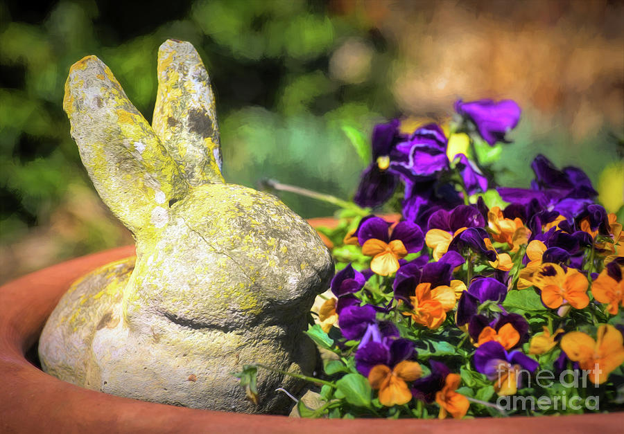 This Bunny Will Not Eat Your Flowers Photograph by Kerri Farley