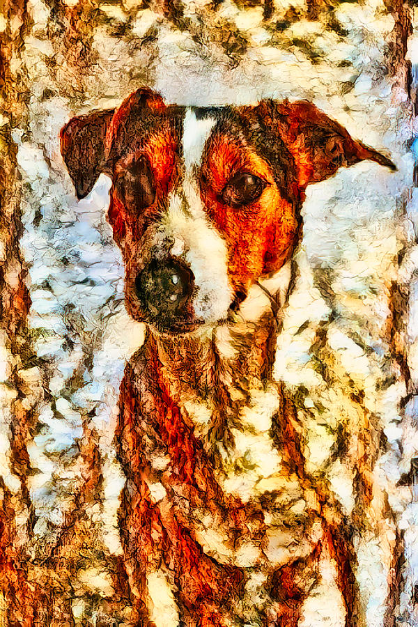 This dog is all Bark Photograph by Bruce Block