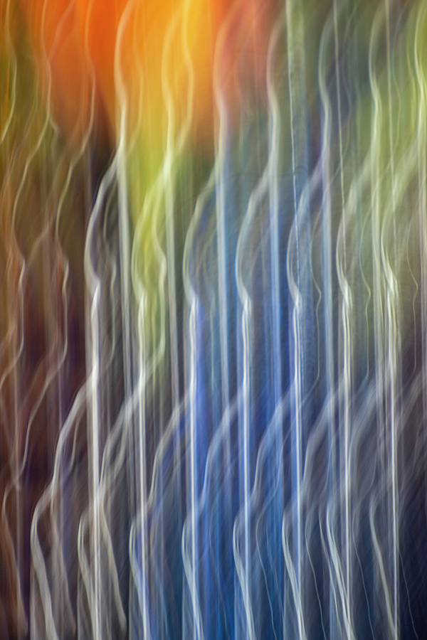 This Electric Spectrum Photograph by Christi Kraft This Electric Spectrum Photograph by Christi Kraft