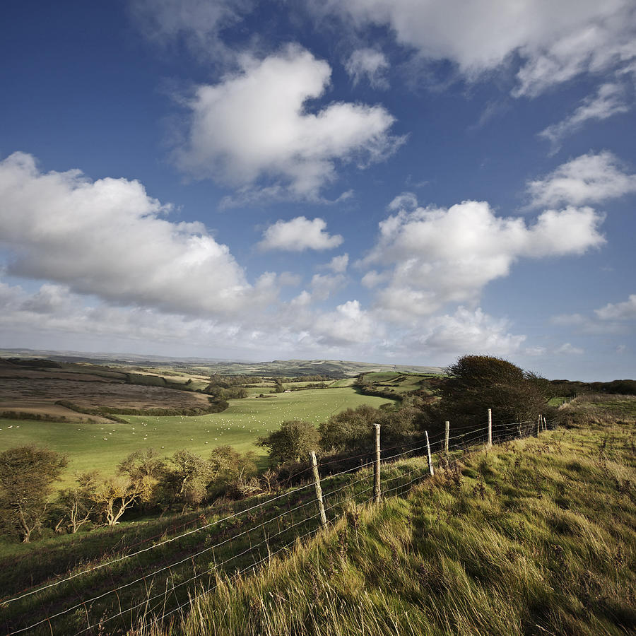 This green & pleasant land. South Wight Landscape Photograph by s0ulsurfing - Jason Swain