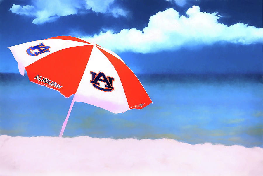This is Auburn Photograph by JC Findley