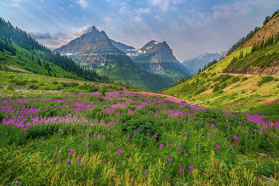 This Is Glacier Np Photograph