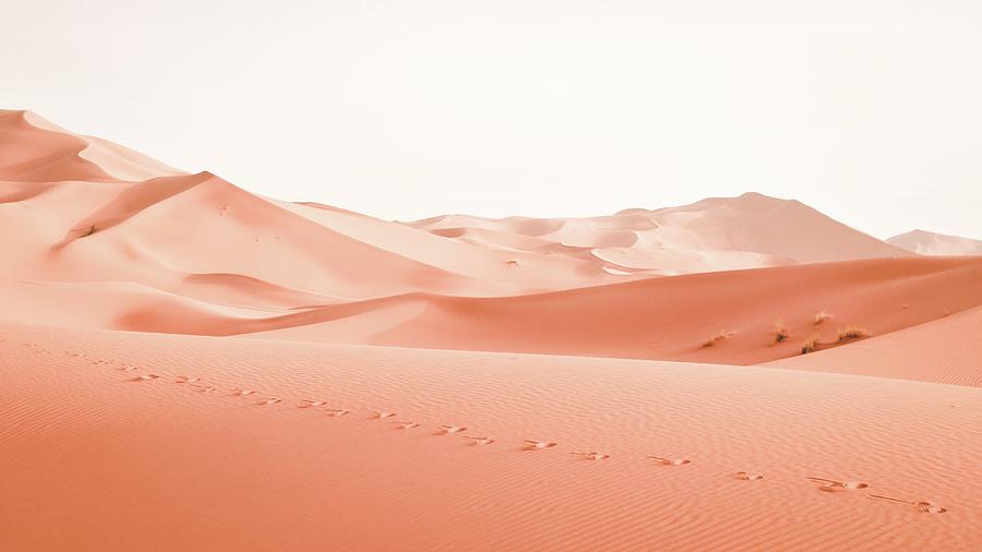 Morocco Photograph - This is not a Windows desktop  - landscape photography of dessert - Erg Chebbi, Morocco by Julien