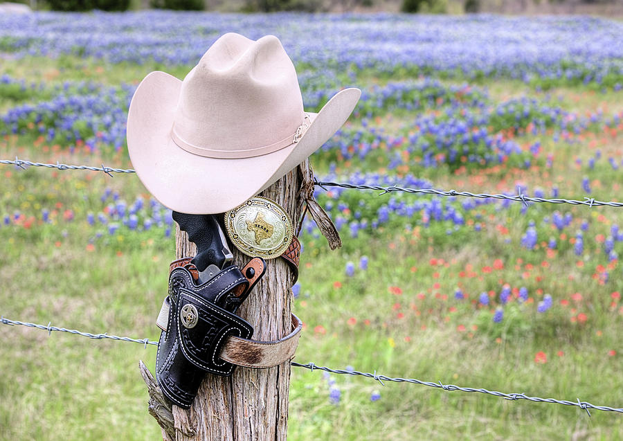 This Is Pure Texas Photograph by JC Findley