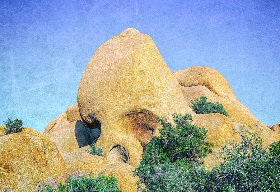 This Is Skull Rock, Joshua Tree National Park Photograph by Joseph S Giacalone