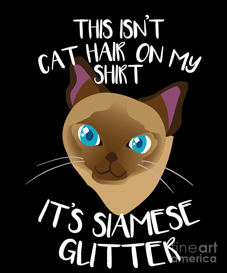 This Isn't Cat Hair On My Shirt It's Siamese Glitter T Shirt This Isn't Cat Hair On My Shirt It's Siamese Glitter T Shirt