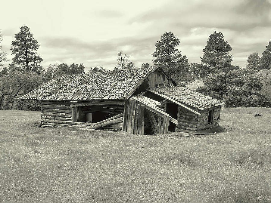 This Little Cabin BW  Photograph by Cathy Anderson
