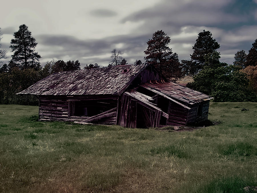 This old cabin matte Photograph by Cathy Anderson