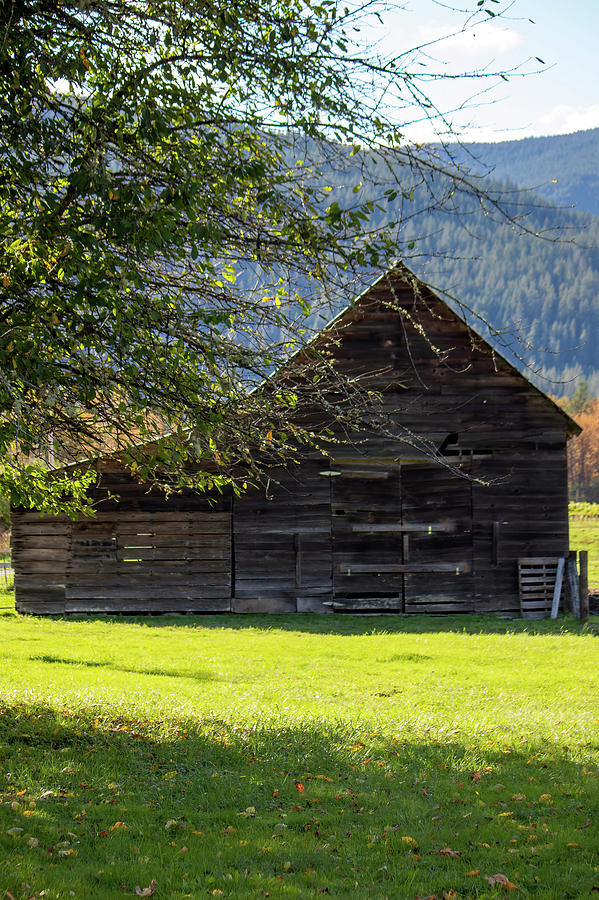 This old shed Northern Cascades Photograph by Cathy Anderson