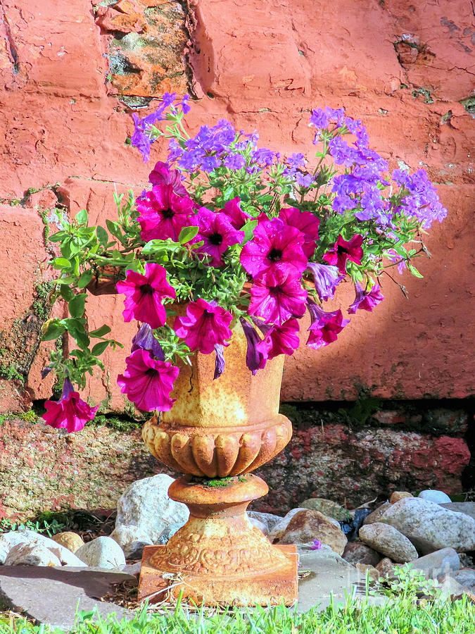 This old urn Photograph by Janice Drew