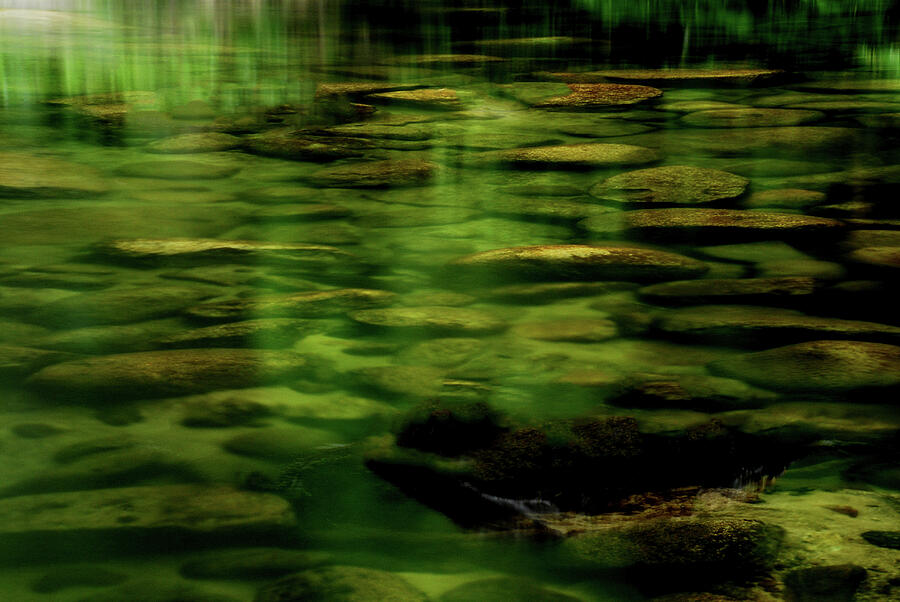 This true Green, Mossman Gorge, Wet Tropics, Australia Photograph by Imi Koetz