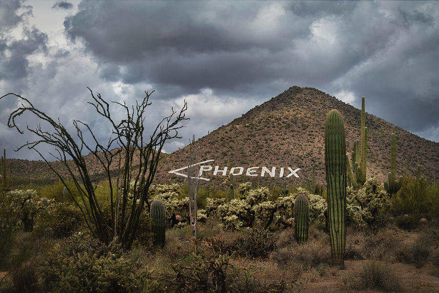 This Way To Phoenix  Photograph by Saija Lehtonen