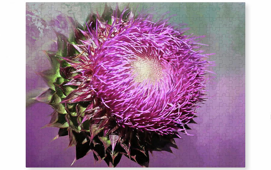 Thistle Beauty - Puzzle Photograph by Donna Kennedy
