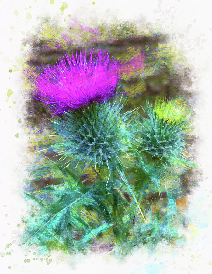 Flowers Still Life Photograph - Thistle in Watercolor by Judi Bagwell