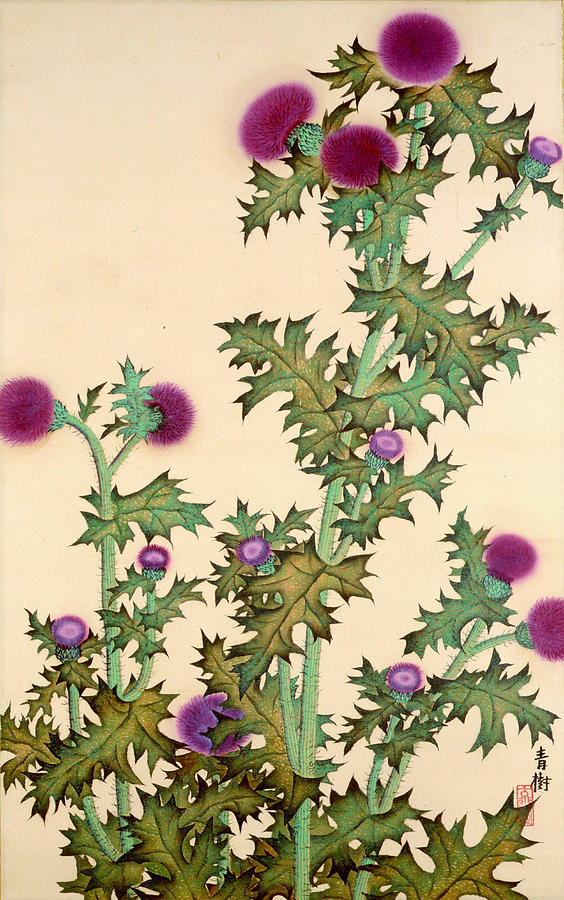 Thistle Painting by Omoda Seiju - Pixels