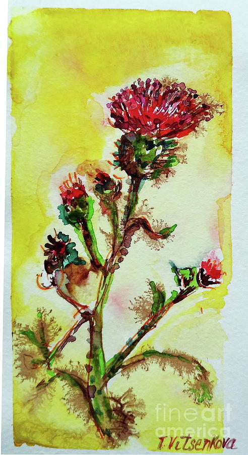 Spicy Painting - Thistle. Wildflower with petals of colors canary- yellow, spicy and burgundy by Tamara Vitsenkova