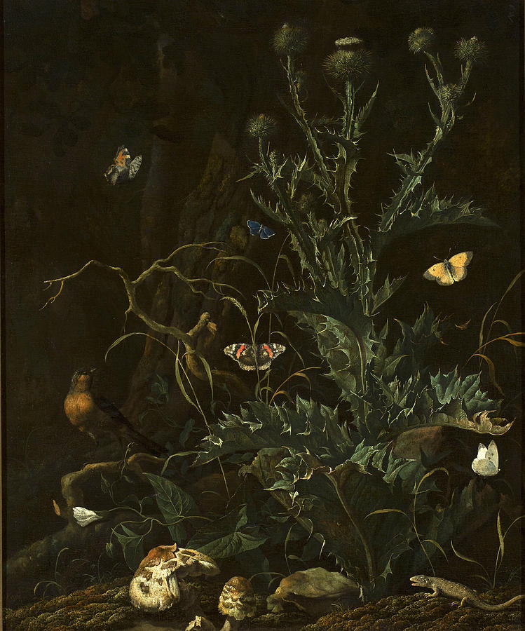 Thistles, butterflies and a lizard  Painting by Abraham Begeyn
