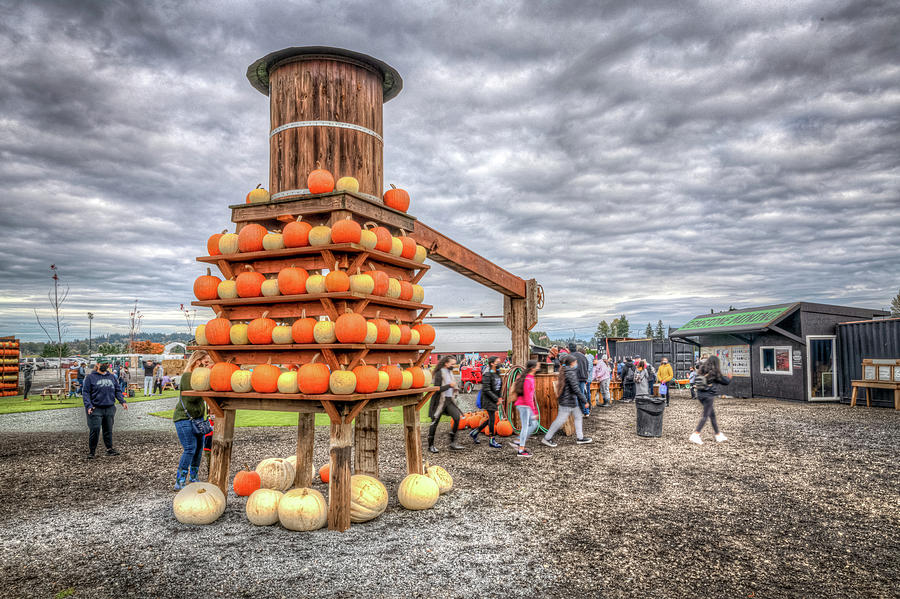Thomas Farms Halloween Activity Photograph by Spencer McDonald