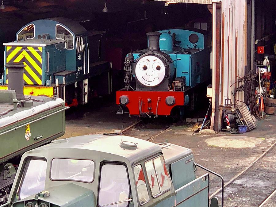 Thomas hiding in the Shed Photograph by Gordon James