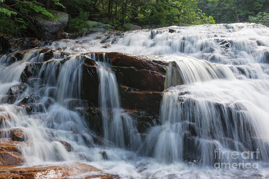 Thoreau Falls - White Mountains New Hampshire USA Photograph by Erin Paul Donovan