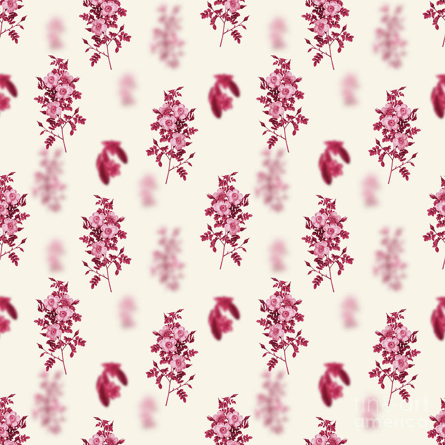 Thornless Burnet Rose Botanical Seamless Pattern In Viva Magenta N.0867 Mixed Media