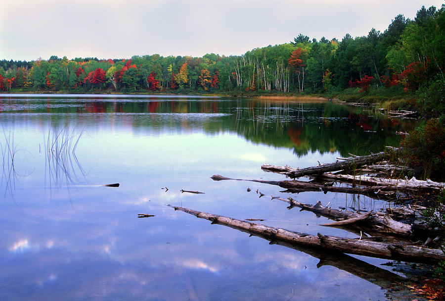 Thornton Lake in Autumn Photograph by James C Richardson