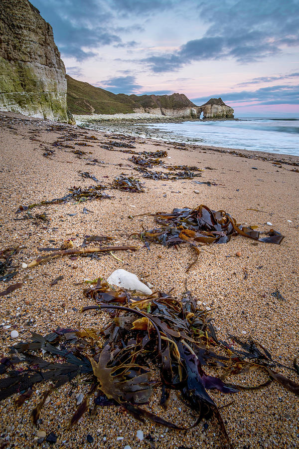 Thornwick Bay Beach, Yorkshire Coast Photograph By Tim Hill - Fine Art ...