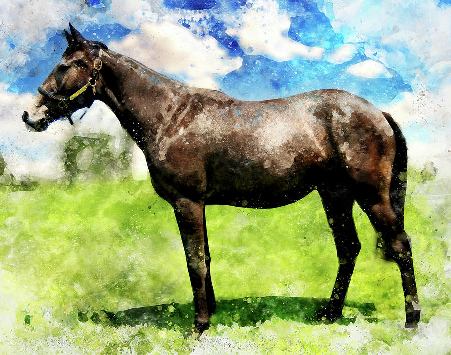 Thoroughbred horse on a pasture - watercolor painting Digital Art by Nicko Prints
