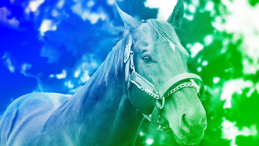 Thoroughbred horse portrait - green and blue halftone pattern Digital Art by Nicko Prints