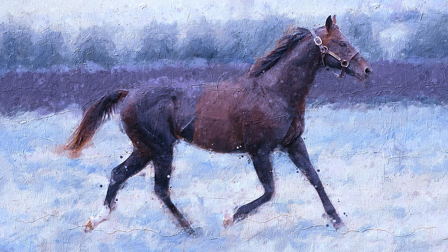 Thoroughbred horse running - cool winter colors Digital Art by Nicko Prints