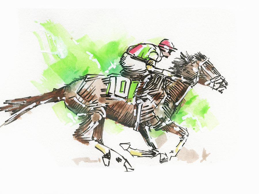 Horse Drawing - Thoroughbred No2 by Peter Farago
