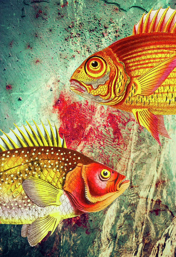 Thoroughfare Two Fish in Transit Digital Art by Lorena Cassady