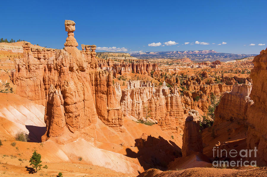 Thors Hammer and Sandstone Hoodoos in Bryce Canyon Amphitheatre, Utah, USA Photograph by Neale And Judith Clark