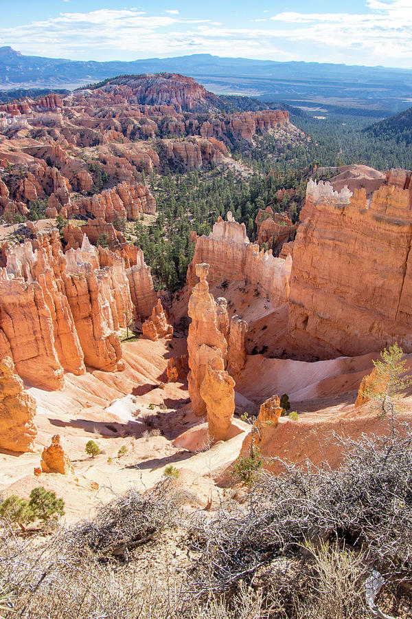 Thor S Hammer Bryce Canyon National Park Photograph By Colin McCready   Thors Hammer Bryce Canyon National Park Colin Mccready 