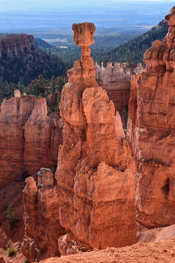 Bryce Canyon National Park Photograph - Thors Hammer by Dana Hardy