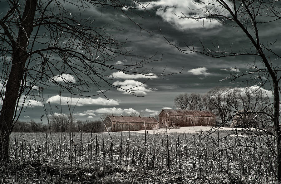 Those Barns on 51 - pair of barns on rural farm in Dane County near Stoughton WI in infrared Photograph by Peter Herman
