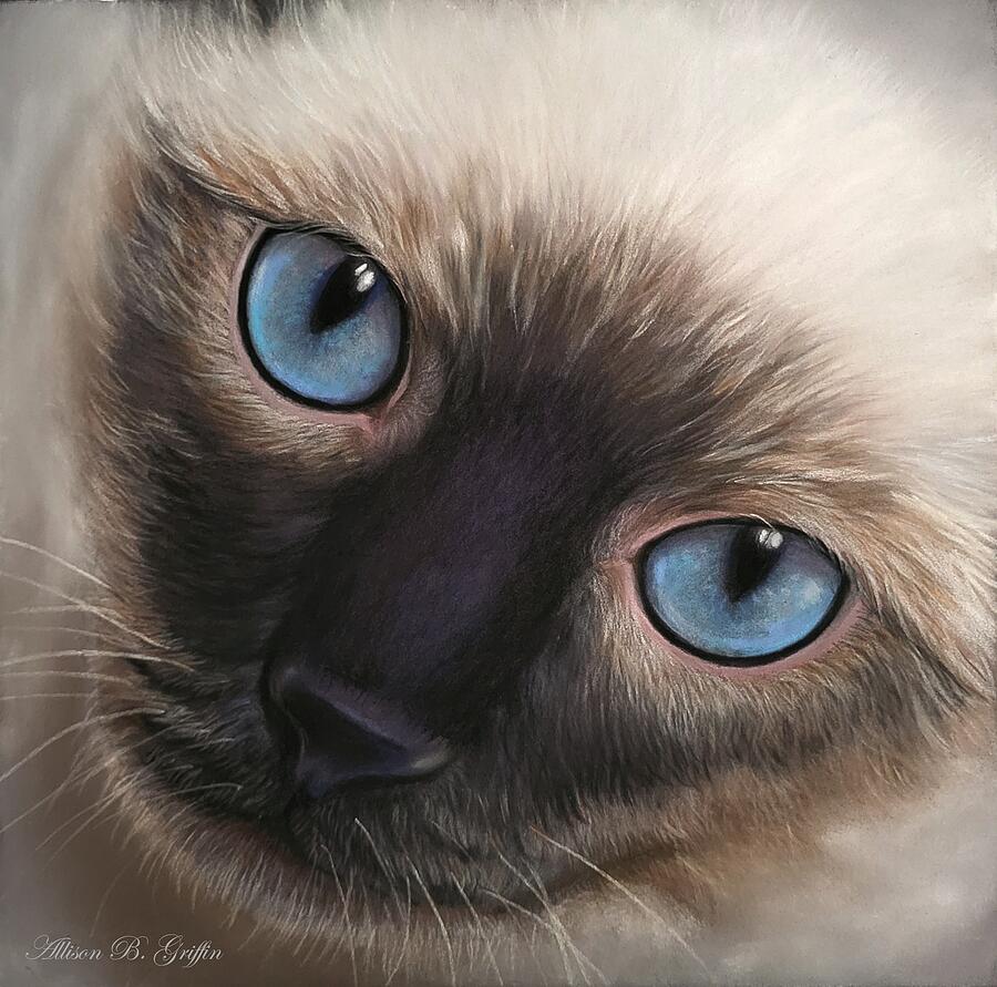 Those Eyes Pastel - Those Eyes - Siamese Cat in Pastels by Allison Griffin