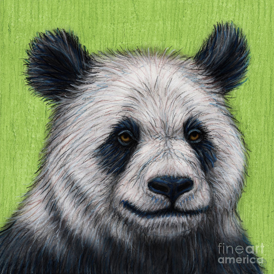 Thoughtful Panda  Painting by Amy E Fraser