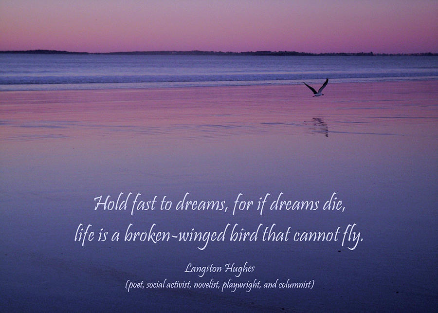 Thoughts of Dreams Photograph by Nancy Griswold