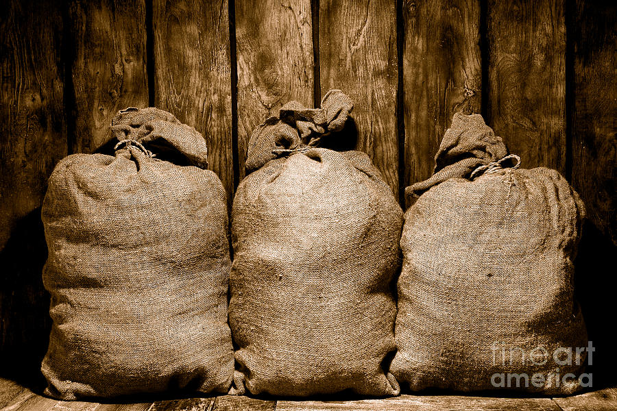 Transportation Photograph - Three Bags in a Warehouse - Sepia by Olivier Le Queinec