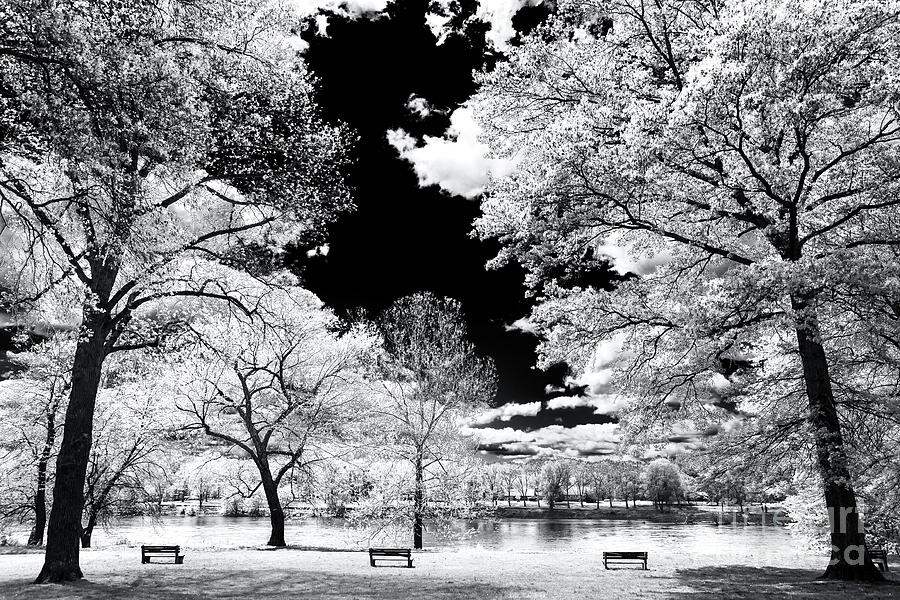 Three Benches at Washington Crossing State Park in New Jersey Photograph by John Rizzuto