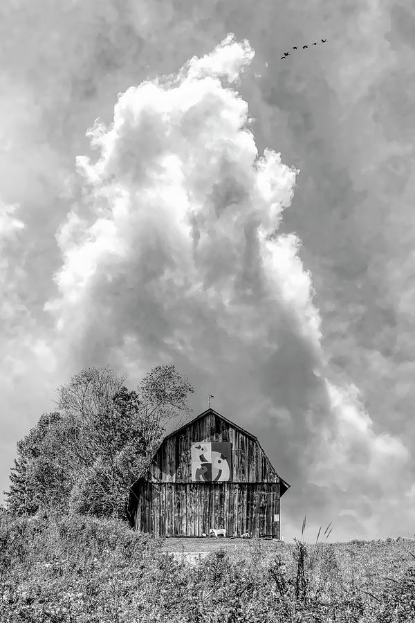 Three Birds Farm Barn Clouds Black and White Photograph by Debra and Dave Vanderlaan