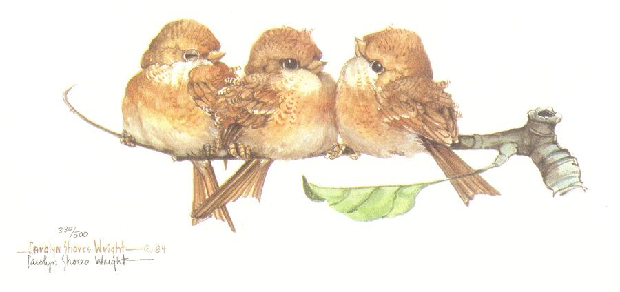 Three Birds on a Branch Painting by Carolyn Shores Wright - Fine Art ...