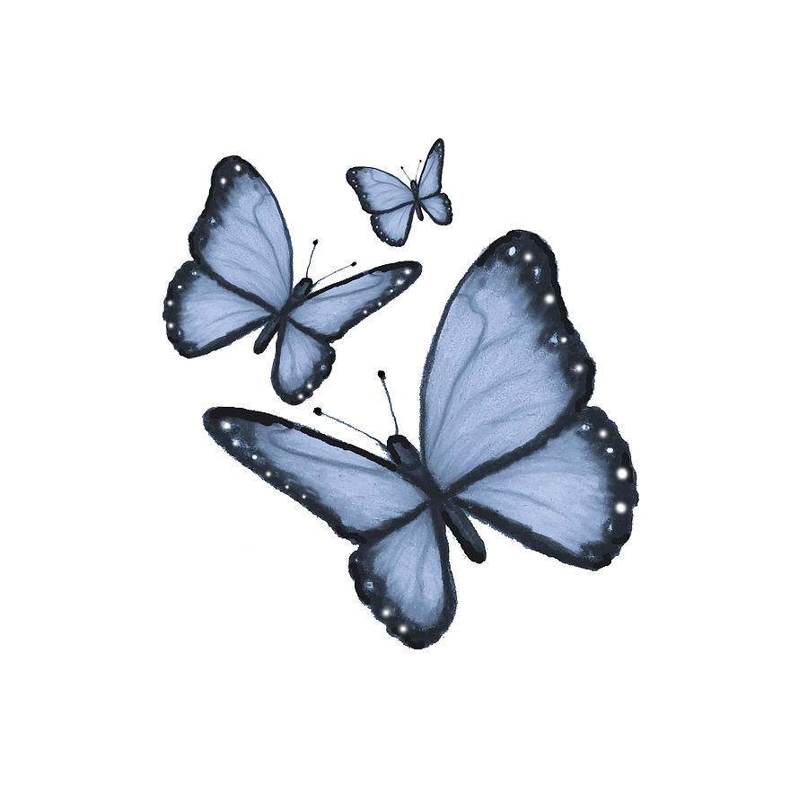 Butterflies Drawing - Three Blue butterflies by Joyce Geleynse Butterflies Drawing - Three Blue butterflies by Joyce Geleynse