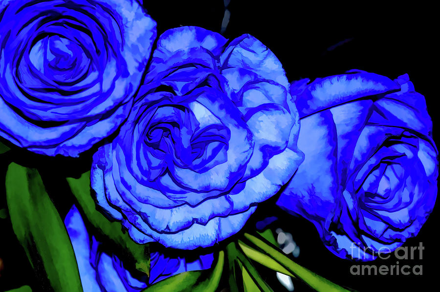 Three Blue Roses Photograph by Diana Mary Sharpton