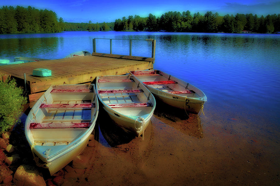 Tree Photograph - Three Boats on White Lake by David Patterson